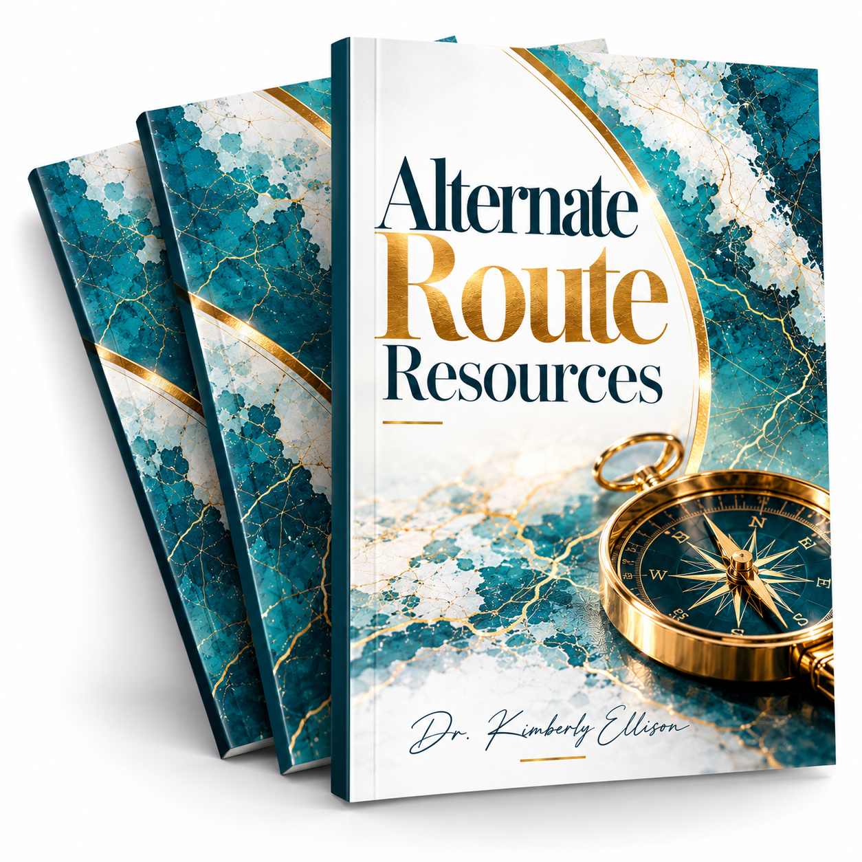 Three-dimensional display of the Alternate Route Resources